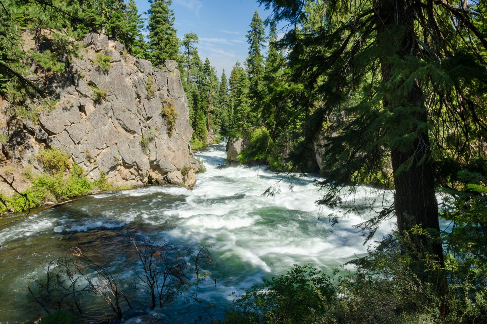 Benham Falls churning white through a basalt canyon lined with ponderosa pines