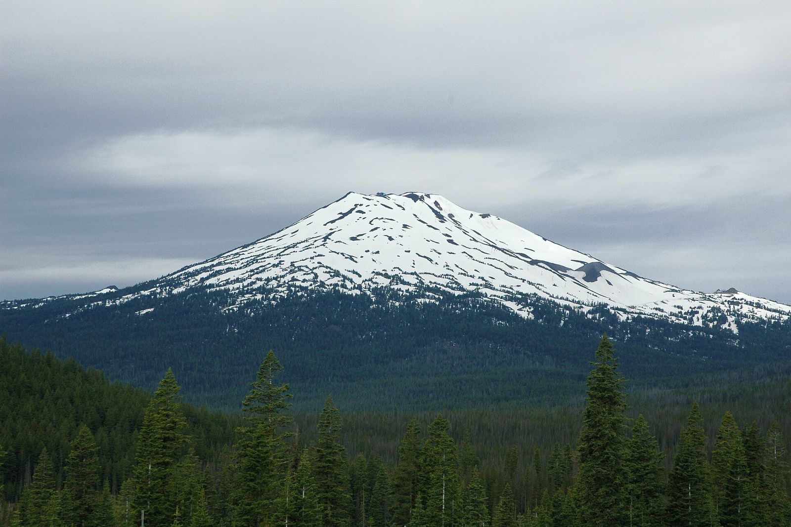 Snow-covered Mount Bachelor rising above a dark pine forest