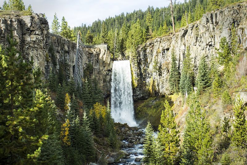 Tumalo Falls dropping over a basalt cliff surrounded by forest