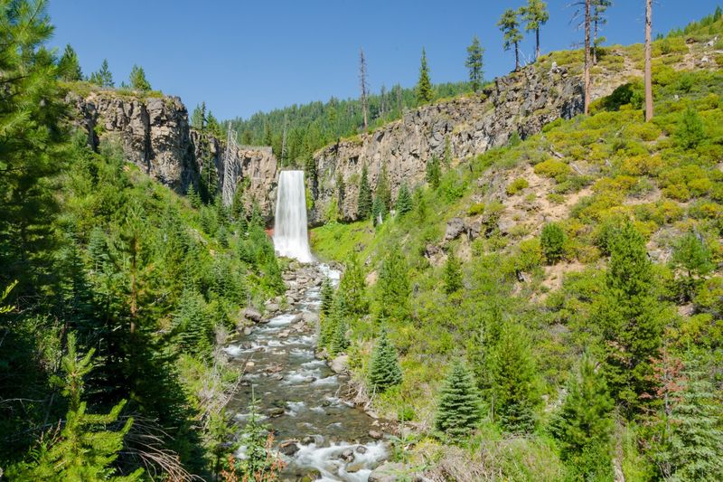 Tumalo Falls plunging into a green canyon with Tumalo Creek below